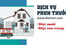 Dịch vụ phun thuốc diệt muỗi diệt côn trùng tại nhà