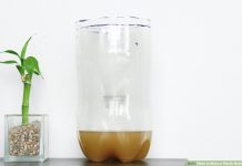 Phương pháp bẫy muỗi đơn giản