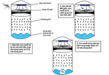 Bắt muỗi bằng bẫy an toàn và hiệu quả